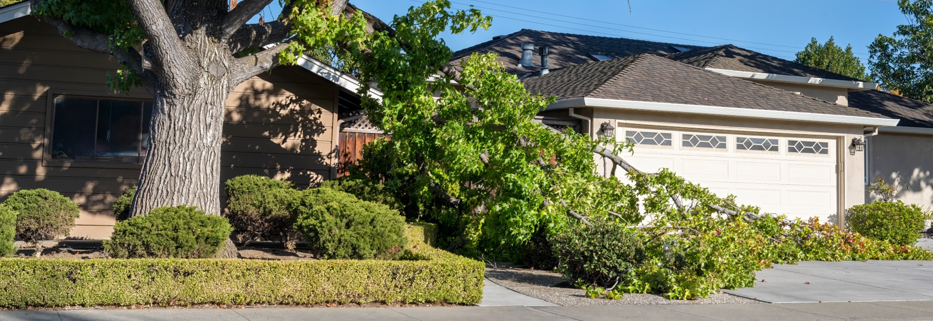 24/7 emergency storm damage tree removal in Edmond, Oklahoma - McCauley Tree Co fast and reliable emergency tree service